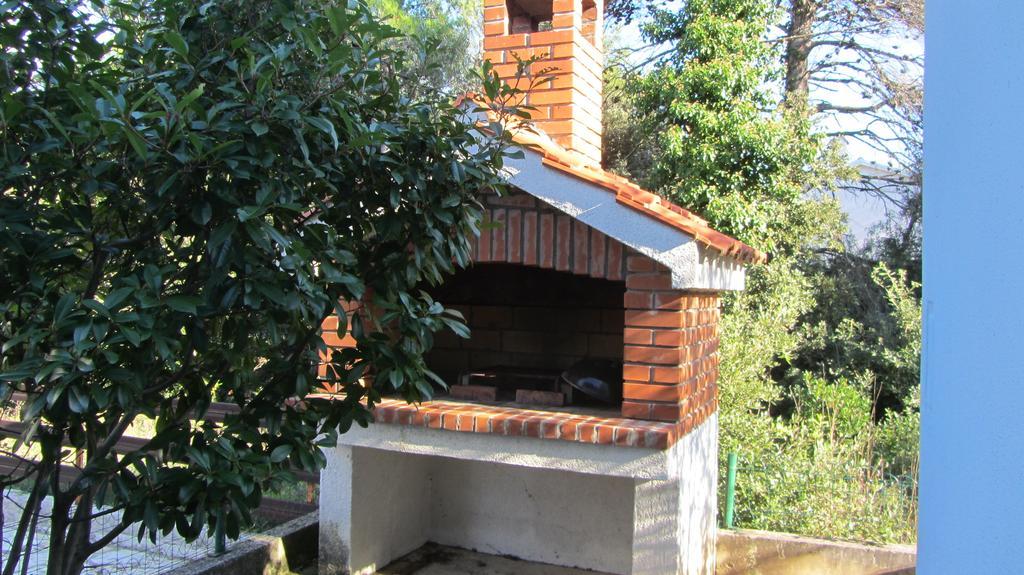 Sara Apartments Petrcane Εξωτερικό φωτογραφία